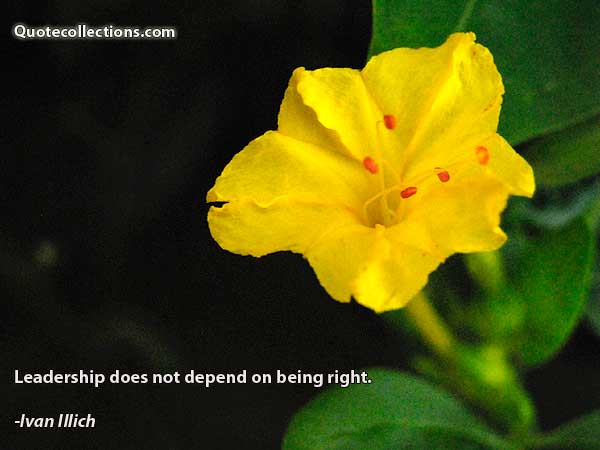 Ivan Illich Quotes3